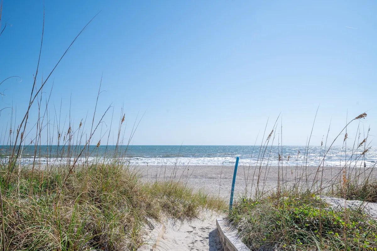 A wide, unobstructed view of the ocean with soft sand in the foreground and gentle dune grass waving under a clear blue sky. The shoreline is inviting and stretches into the distance, capturing the essence of a quiet, family-friendly beach setting perfect for sandcastles, shell-collecting, and peaceful swims.